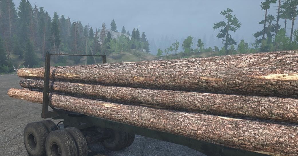 Timber Log Texture
