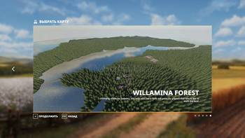 Willamina Forest map