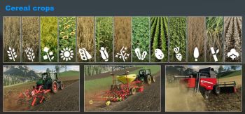 Fundamentals of Agriculture FS 19