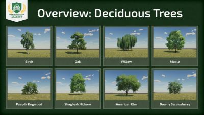 Lumberjacks guide to cutting down trees (coniferous and deciduous) in Farming Simulator 22